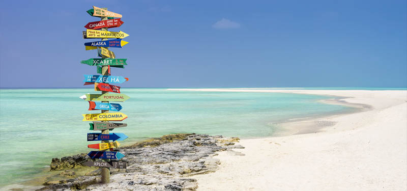 Designing the Perfect Feature Comparison Table